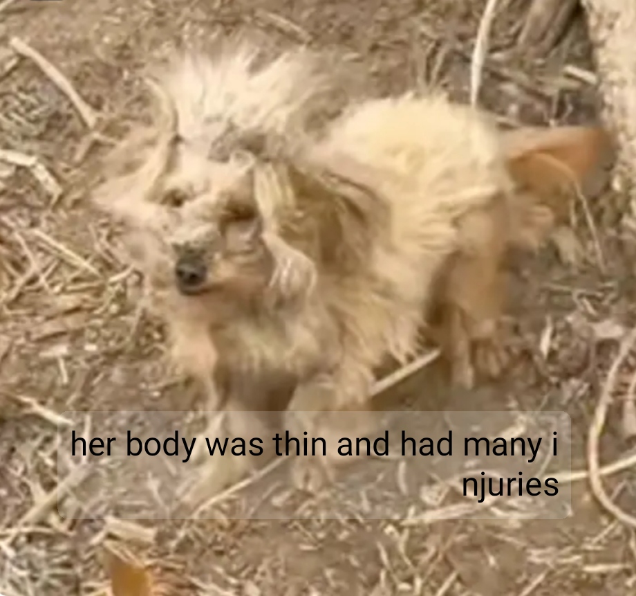 Her body was thin